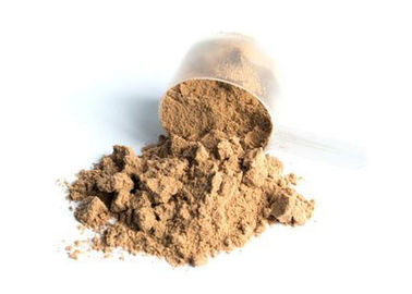 Digestible sin lactosa del polvo orgánico blanco de la fitoproteína fácilmente