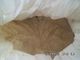 CAS el 8002-80-0 por ciento Vital Wheat Gluten Powder Bulk de HACCP 82