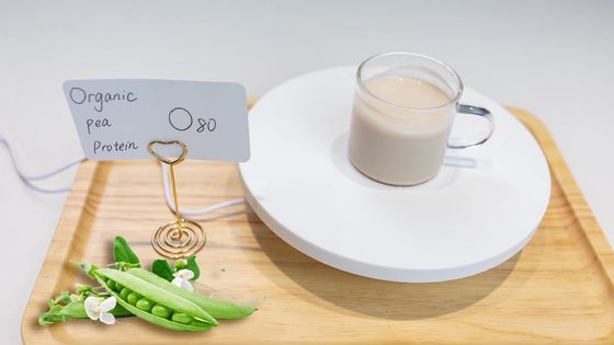 Aislante hipoalérgico de la proteína de 80 Mesh Concentrated Fermented Organic Pea