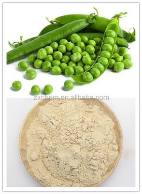 Aislante hipoalérgico de la proteína de 80 Mesh Concentrated Fermented Organic Pea
